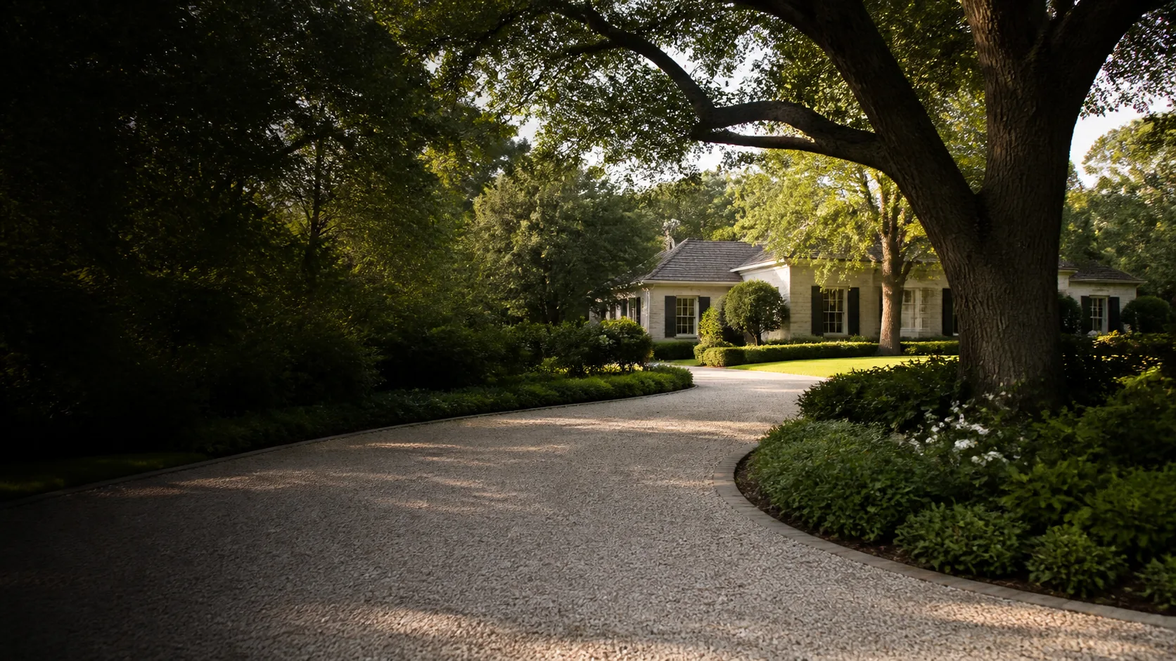 A quiet tree-lined Dallas street