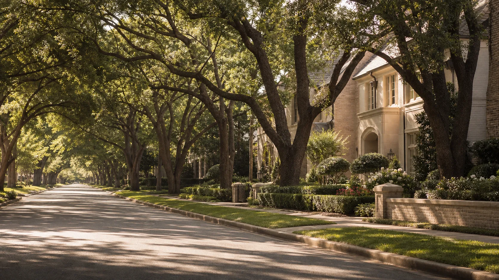 A tree-lined residential street in Dallas